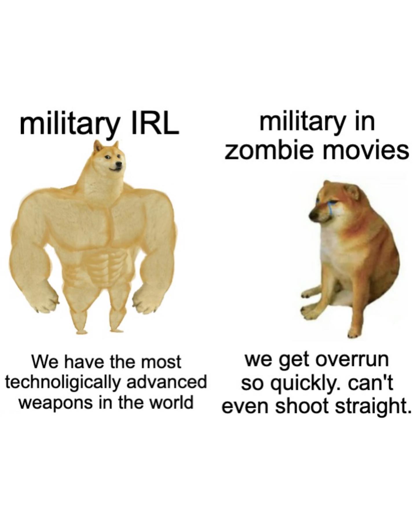nataliafadeev: Military IRL vs Zombie Movies Doge Meme AI Image
